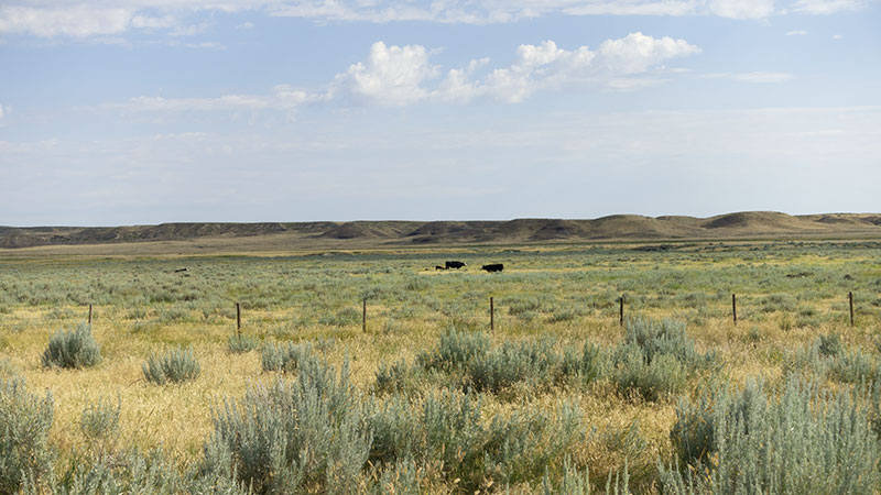 4-square-ranch-ground_7-25-2018_059_800-wide