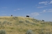 4-square-ranch-ground_7-25-2018_060_800-wide