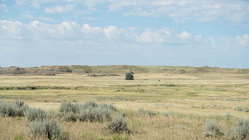 4-square-ranch-ground_7-25-2018_068_800-wide