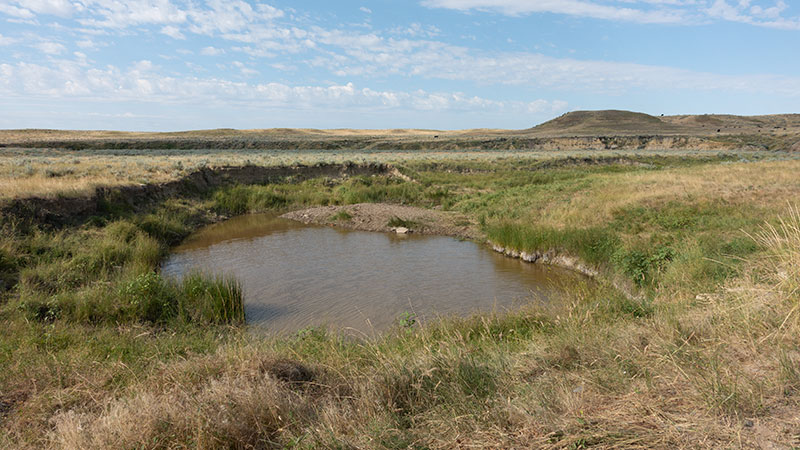 4-square-ranch-ground_7-25-2018_070_800-wide